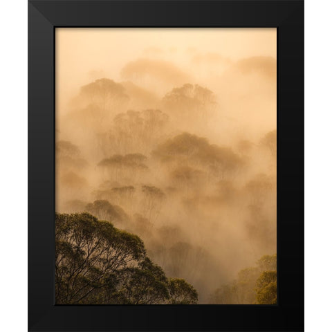 Ink Painting Black Modern Wood Framed Art Print by Chengming