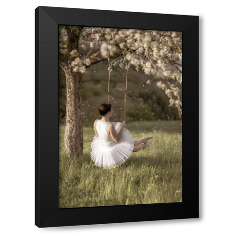 Cherry Tree Swing Black Modern Wood Framed Art Print by Graf, James