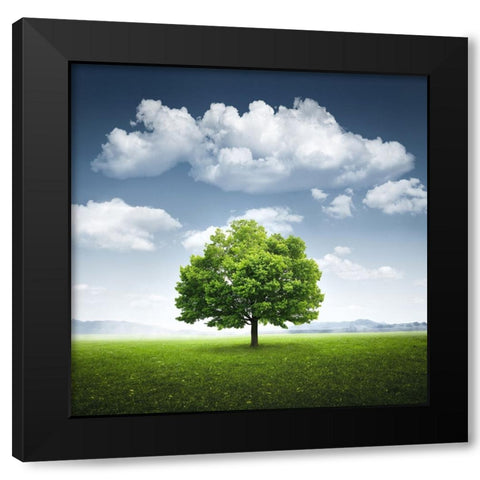 Lone tree Black Modern Wood Framed Art Print with Double Matting by Hamiti, Bess