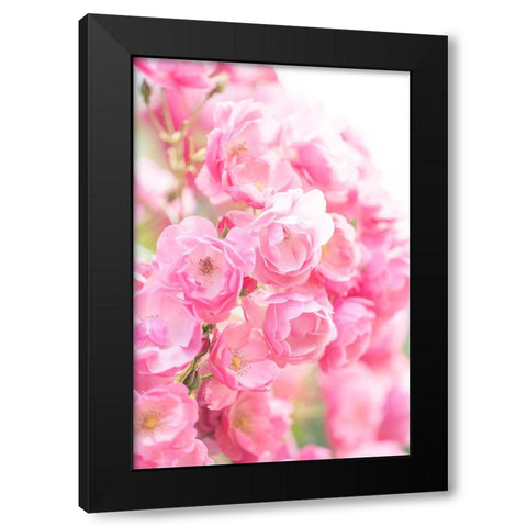 Rose Black Modern Wood Framed Art Print with Double Matting by Kazumasa, Kondou