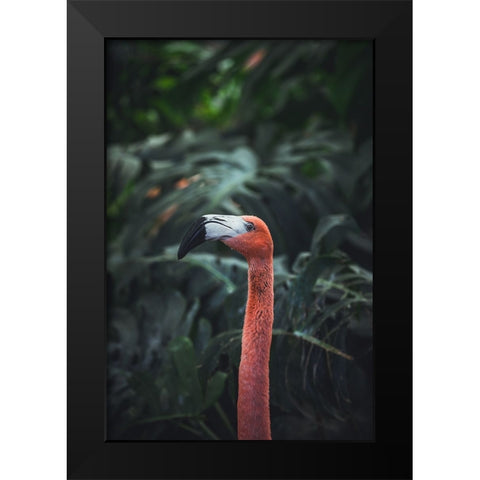 Flamingo Black Modern Wood Framed Art Print by Dayvee