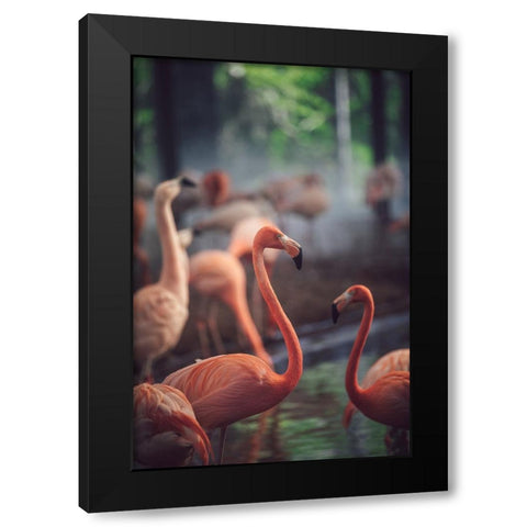 Flamingo Black Modern Wood Framed Art Print by Dayvee