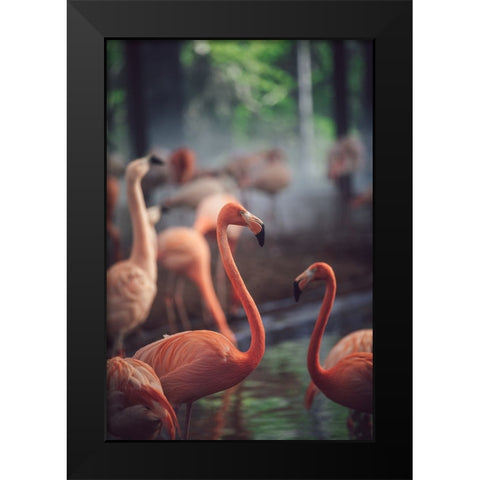 Flamingo Black Modern Wood Framed Art Print by Dayvee