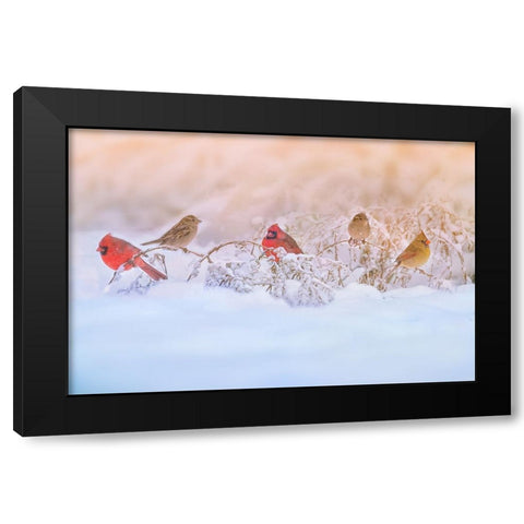 Snowy Morning  Party Black Modern Wood Framed Art Print by Lu, Ling