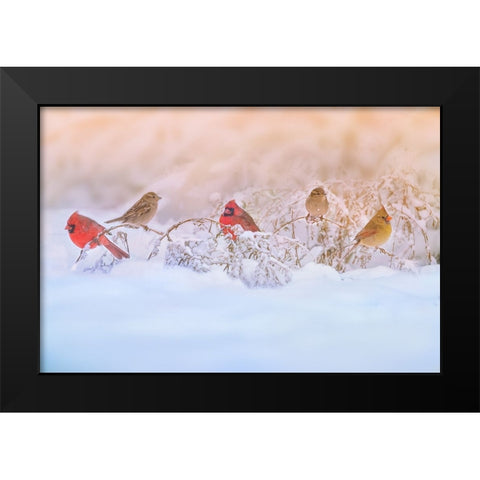 Snowy Morning  Party Black Modern Wood Framed Art Print by Lu, Ling