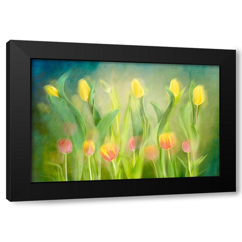Dancing tulips Black Modern Wood Framed Art Print by Van Son, Greetje