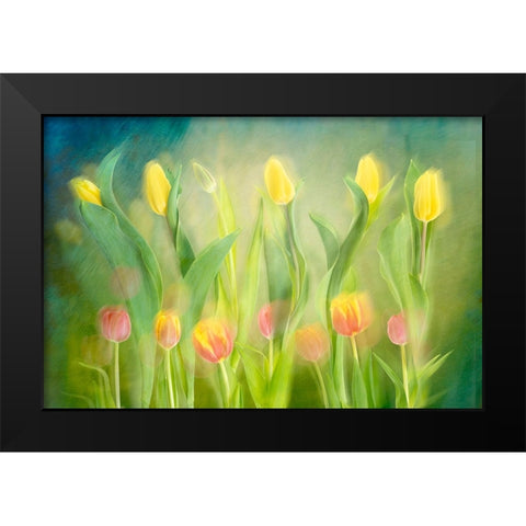 Dancing tulips Black Modern Wood Framed Art Print by Van Son, Greetje