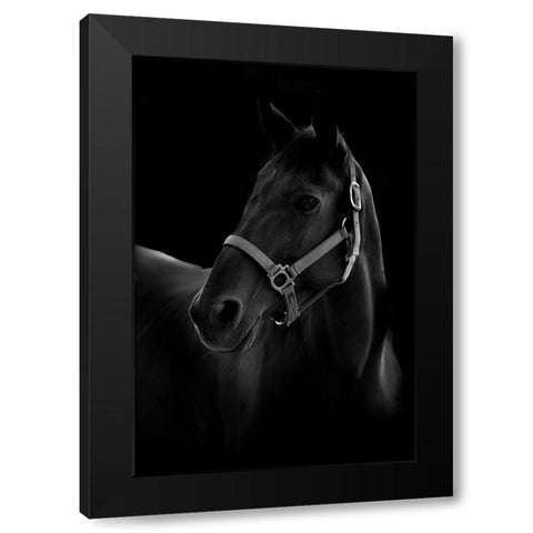 Horse Black Modern Wood Framed Art Print with Double Matting by T, Yuya