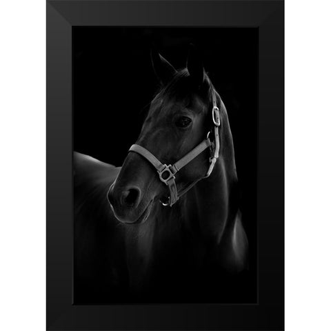 Horse Black Modern Wood Framed Art Print by T, Yuya