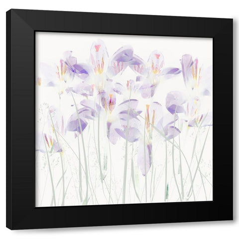 Crocuses In The Grass Black Modern Wood Framed Art Print with Double Matting by Talen, Nel