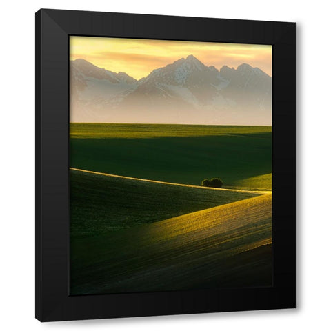 Spring sunset Black Modern Wood Framed Art Print by Ilkovic, David