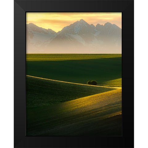 Spring sunset Black Modern Wood Framed Art Print by Ilkovic, David