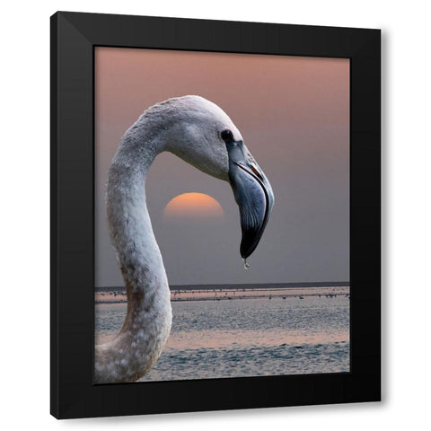 This Is My World Black Modern Wood Framed Art Print with Double Matting by Guillemot, Mathilde