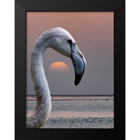 This Is My World Black Modern Wood Framed Art Print by Guillemot, Mathilde