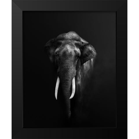 Elephant Portrait Black Modern Wood Framed Art Print by Guha, Jayanta
