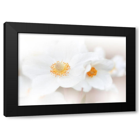 Her Name Is Love...Iii Black Modern Wood Framed Art Print by Nan, Juliana