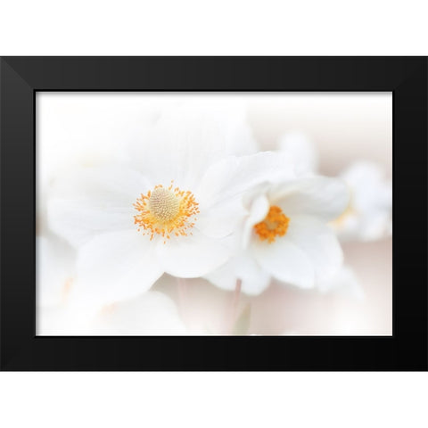 Her Name Is Love...Iii Black Modern Wood Framed Art Print by Nan, Juliana