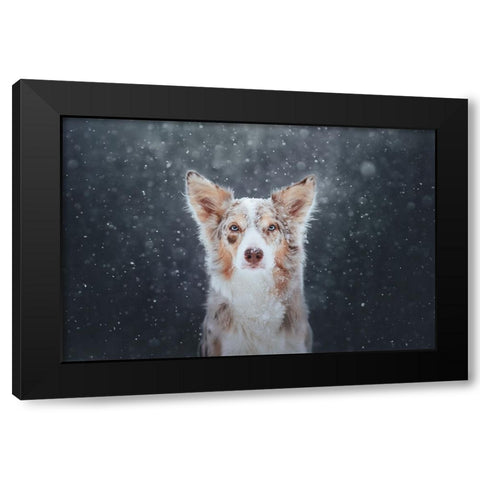 Blizzard Black Modern Wood Framed Art Print by Shandor, Ve