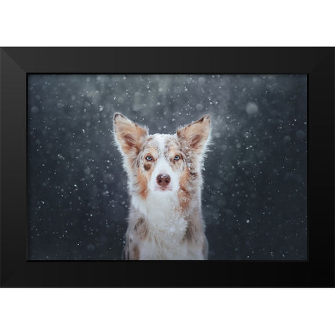 Blizzard Black Modern Wood Framed Art Print by Shandor, Ve