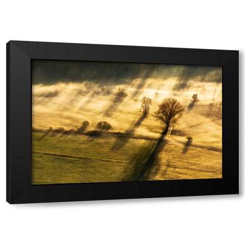 Spirito inquieto Black Modern Wood Framed Art Print with Double Matting by Pietro, Biffi