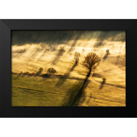 Spirito inquieto Black Modern Wood Framed Art Print by Pietro, Biffi