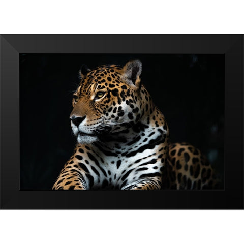 Captive wild Black Modern Wood Framed Art Print by Yuya.T
