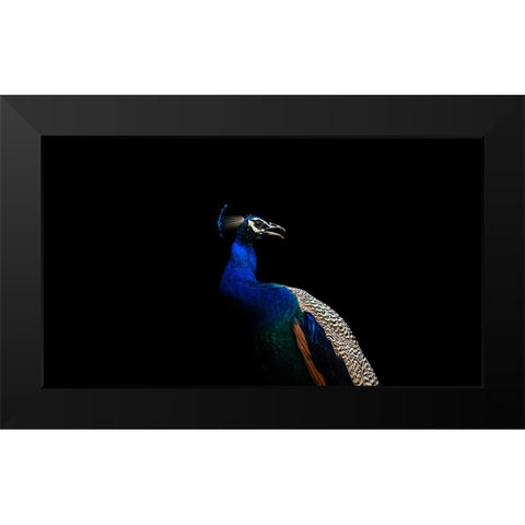 Flash of Colors Black Modern Wood Framed Art Print by Verma, Mayank