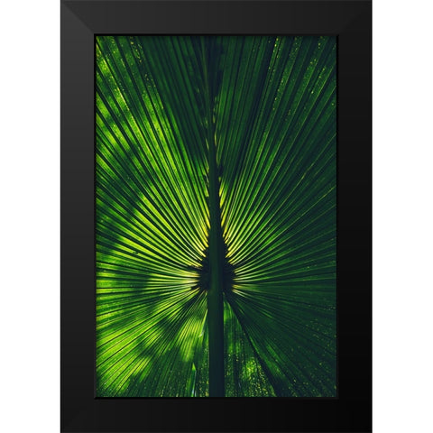 Background lighted palm tree leaf Black Modern Wood Framed Art Print by Alcantara, Miguel