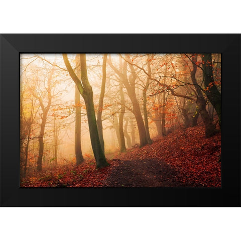 Wake up forest. Black Modern Wood Framed Art Print by Londal, Leif