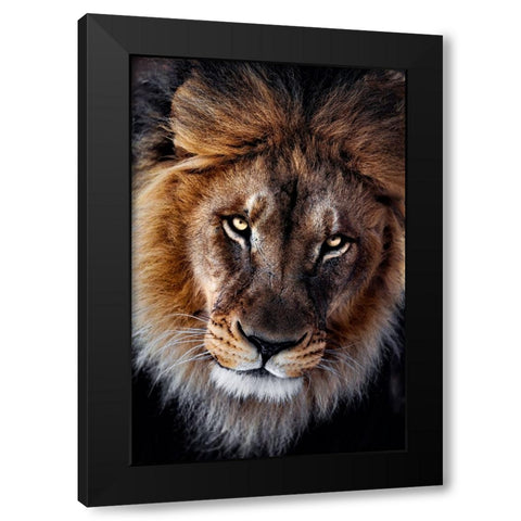 The king Black Modern Wood Framed Art Print with Double Matting by Zhao, Alex