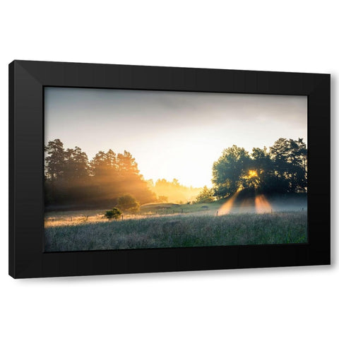 Summer field with sunrays Black Modern Wood Framed Art Print by Lindsten, Christian
