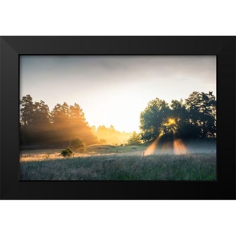 Summer field with sunrays Black Modern Wood Framed Art Print by Lindsten, Christian