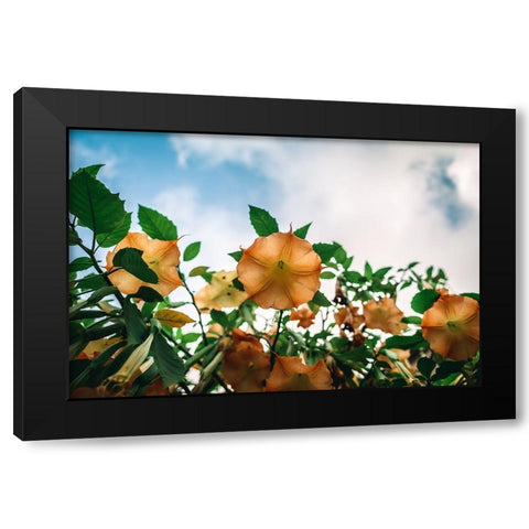 The flower Black Modern Wood Framed Art Print with Double Matting by Danielraphotos