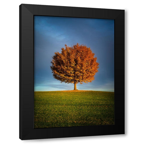 Contrast ddsid Black Modern Wood Framed Art Print by Murko, Dominik