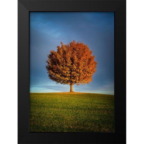 Contrast ddsid Black Modern Wood Framed Art Print by Murko, Dominik