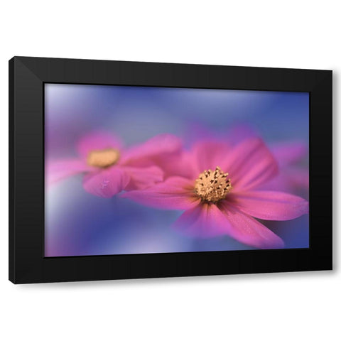 A Colorful World.. Black Modern Wood Framed Art Print by Nan, Juliana
