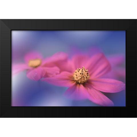 A Colorful World.. Black Modern Wood Framed Art Print by Nan, Juliana
