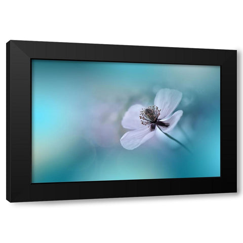 Walk Softly.. Black Modern Wood Framed Art Print by Nan, Juliana