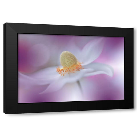 Rain Of Light...III Black Modern Wood Framed Art Print with Double Matting by Nan, Juliana