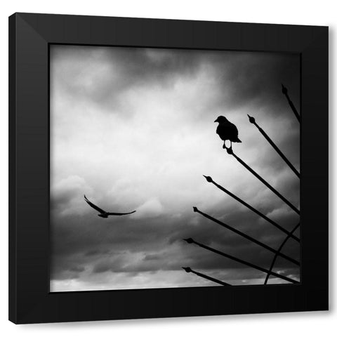 Welcome Black Modern Wood Framed Art Print with Double Matting by Sefer, Emel