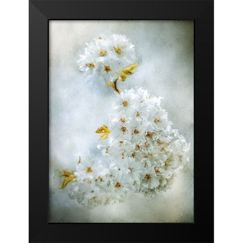 Cherry Blossoms Black Modern Wood Framed Art Print by Zvinakeviciute, Kristina