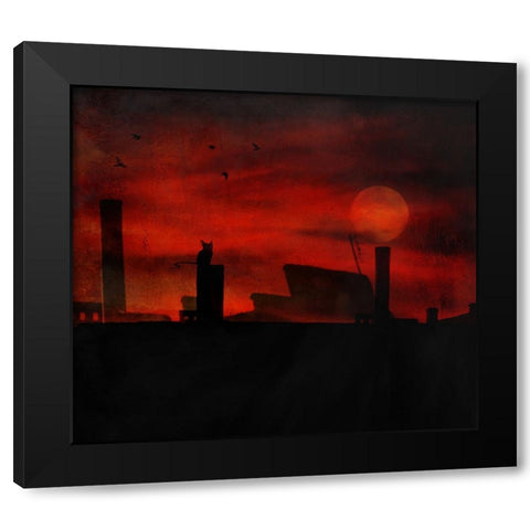 Cat Stories Black Modern Wood Framed Art Print by Robert