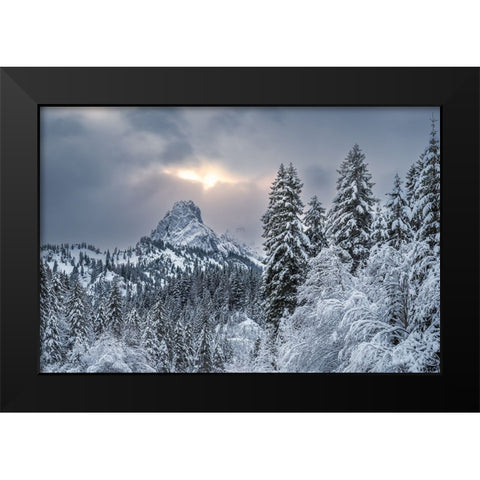 The alpine freshness Black Modern Wood Framed Art Print by Gialopoulos, Anastasios