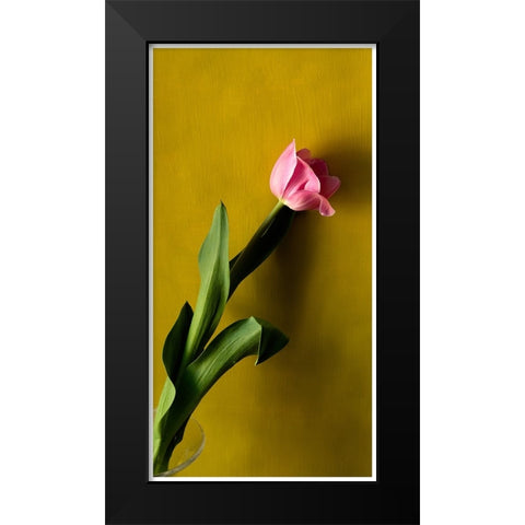 Tulip1 Black Modern Wood Framed Art Print by De Malleray, Delphine