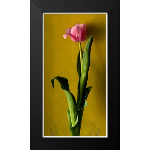 Tulip2 Black Modern Wood Framed Art Print by De Malleray, Delphine