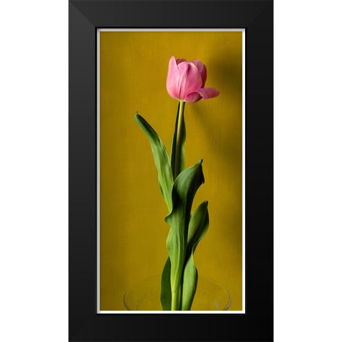 Tulip3 Black Modern Wood Framed Art Print by De Malleray, Delphine