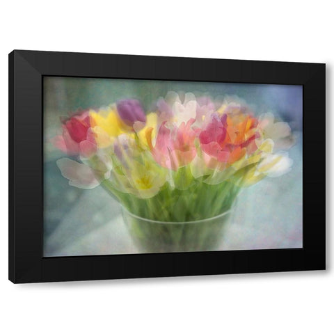 Tulips Black Modern Wood Framed Art Print by Holmstrom, Katarina