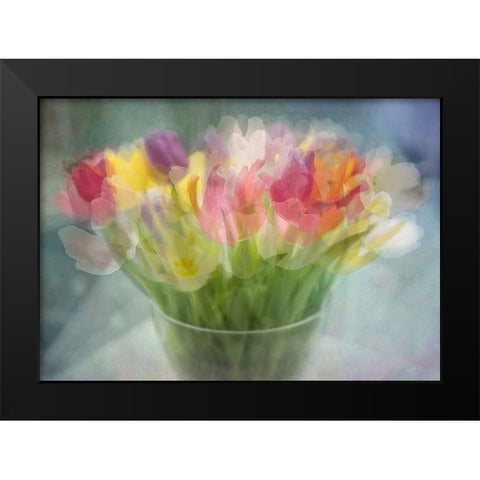 Tulips Black Modern Wood Framed Art Print by Holmstrom, Katarina