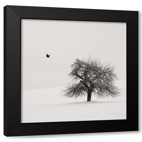 Old Cherry Tree Black Modern Wood Framed Art Print by Weisbek, Lena
