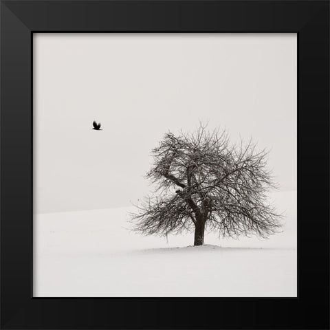 Old Cherry Tree Black Modern Wood Framed Art Print by Weisbek, Lena